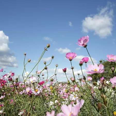 Nature Stay In Hambachtal Holiday Park Vakantiehuis