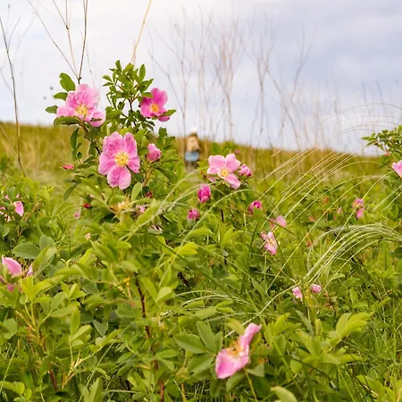 Nature Stay In Hambachtal Holiday Park Vakantiehuis Oberhambach