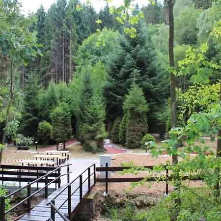 別荘 Nature In Hambachtal