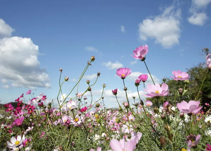 Nature Stay In Hambachtal Holiday Park Casa vacanze