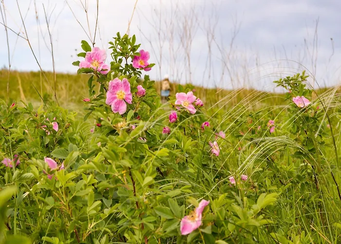 Nature Stay In Hambachtal Holiday Park Casa vacanze Oberhambach